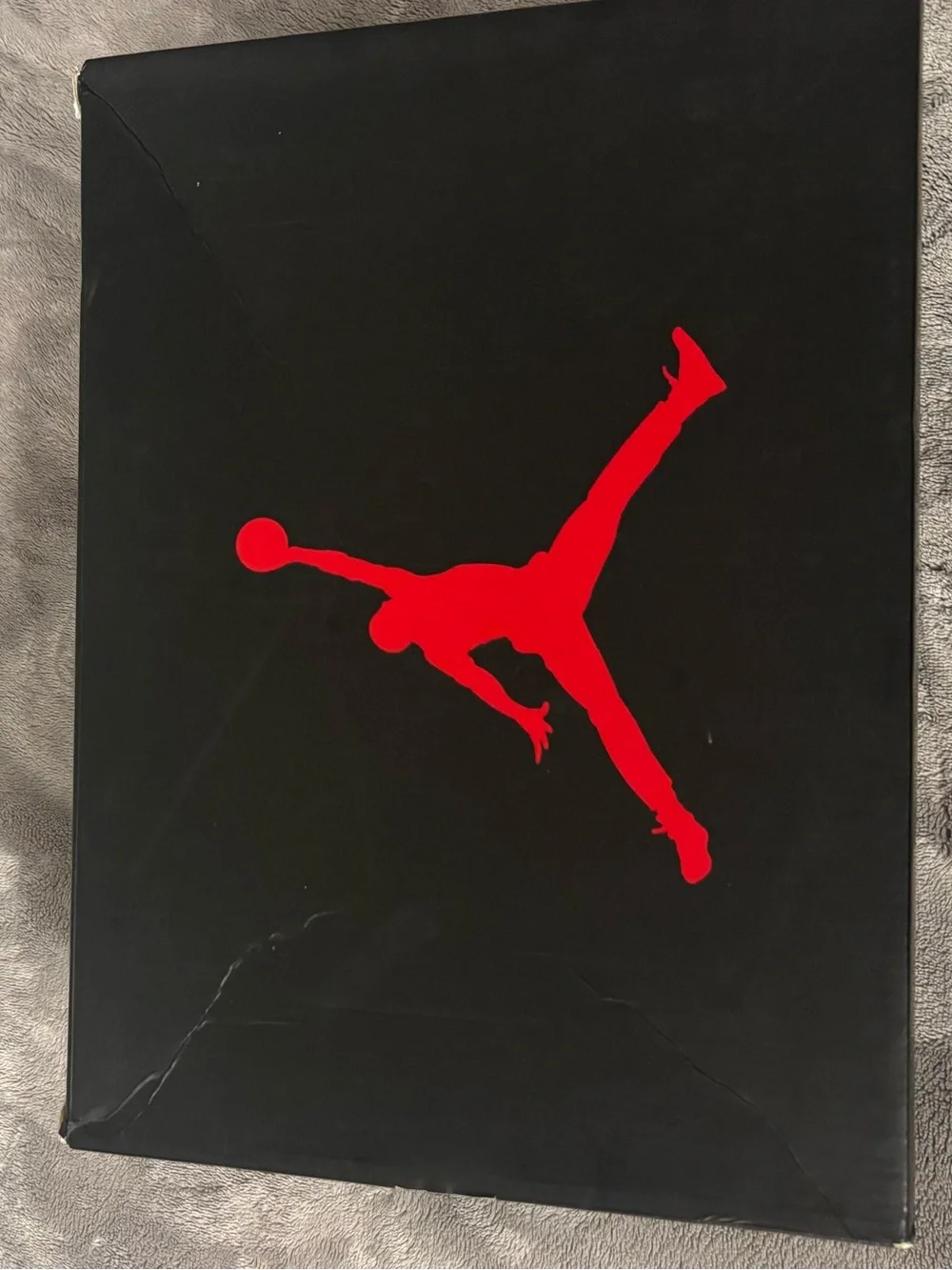 Air Jordan 12 Retro 